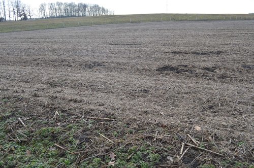 Property photo 72 - 98+/- Acres Offered in 6 Tracts or Combinations, Noble County, Indiana Farm
